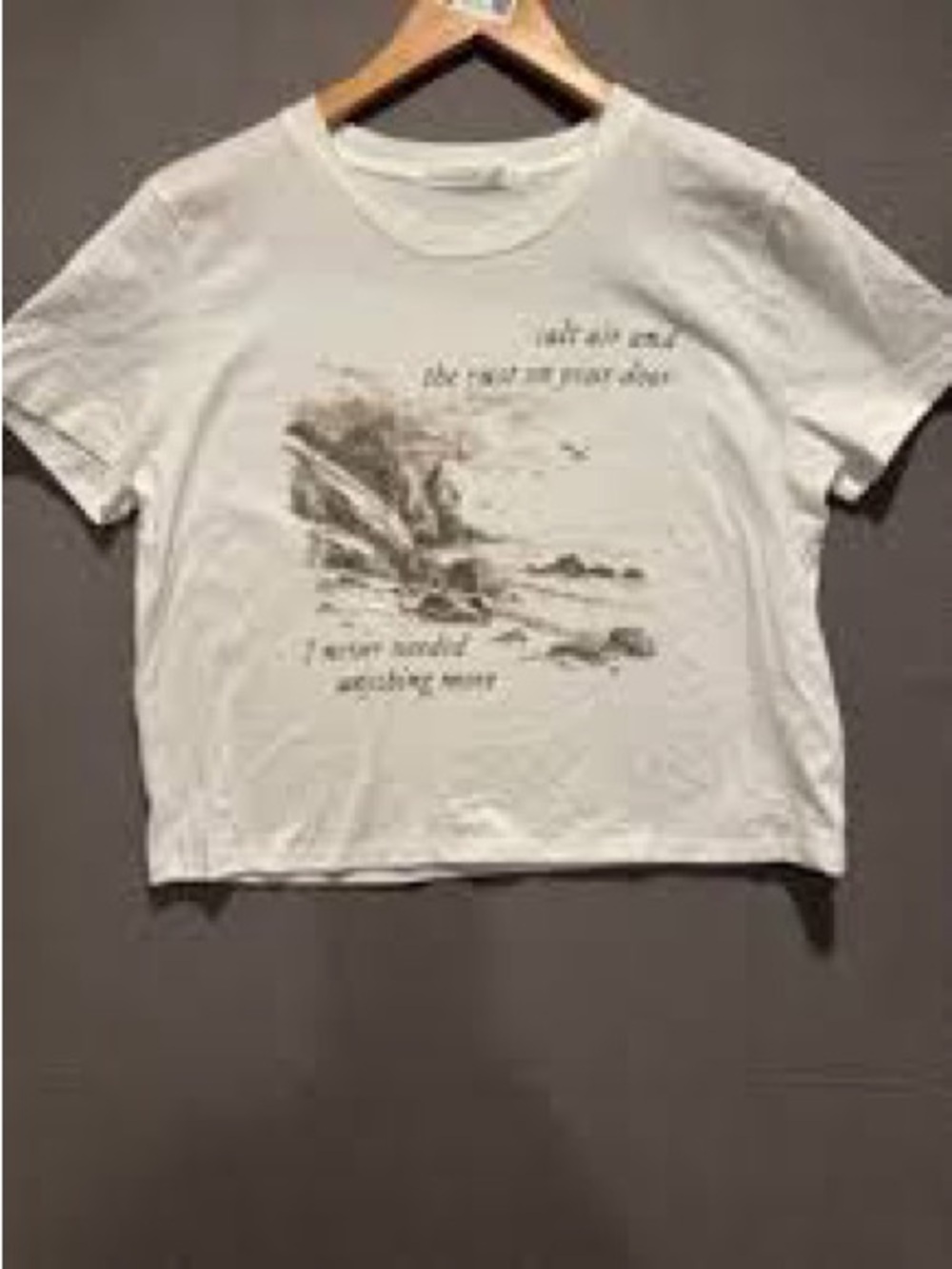 Altar'd State cropped T-shirt, Taylor Swift lyrics